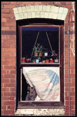 Sydney Wooloomooloo-Window-1.jpg