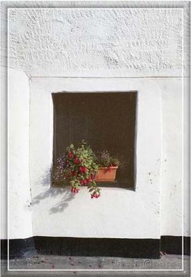 Flower Box in  Alcove-1.jpg