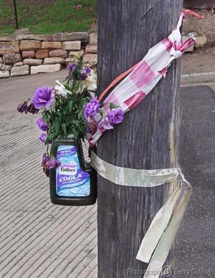 u38/barry_culling/medium/39940322.flowermemorial.jpg