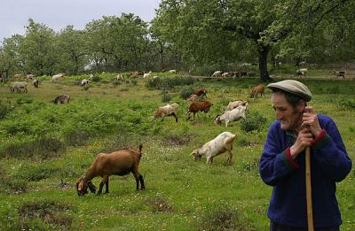 Landscape,Portugal