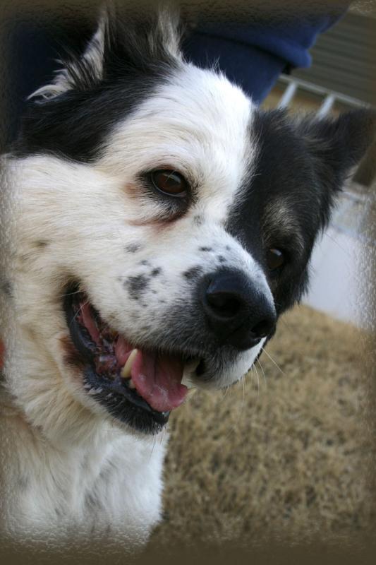 Nikko