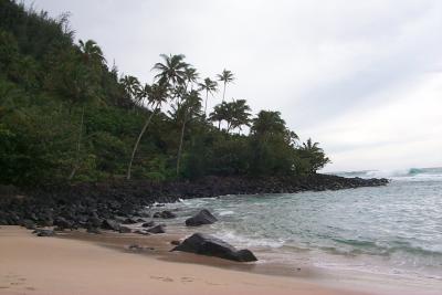 Kauai199812bl.jpg