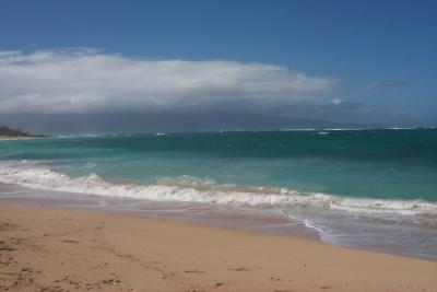 u38/bef/medium/32021703.Maui199812bo.jpg