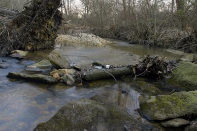 Creek during Winter