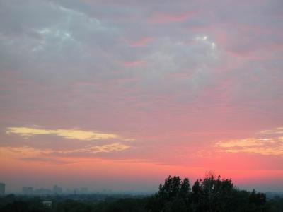 N39 883.jpg