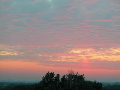 N39 892.jpg