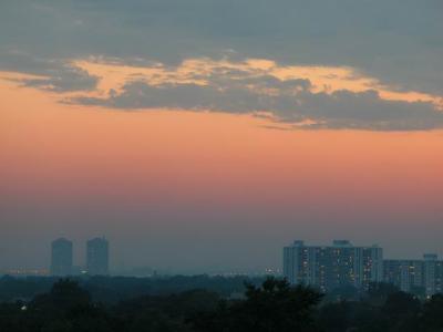 N39 901.jpg