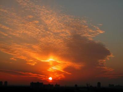 Nov25 005.jpg
