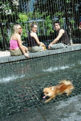 Aug 1/04  Yorkville  (temp)