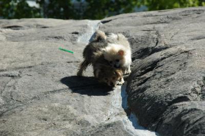 Aug1_04_263.JPG