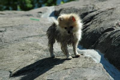 Aug1_04_281.JPG
