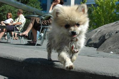 Aug1_04_288.JPG