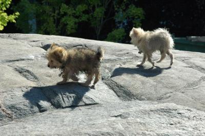 Aug1_04_298.JPG