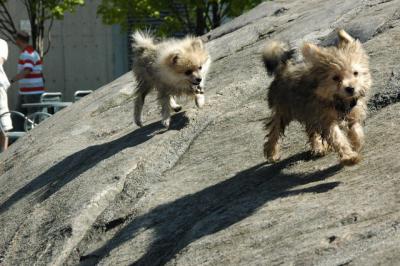 Aug1_04_307.JPG