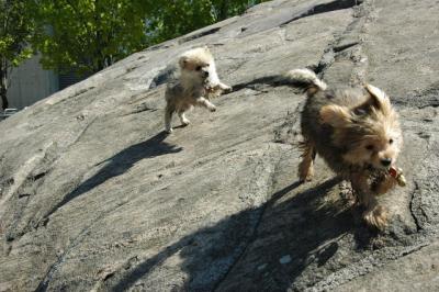 Aug1_04_309.JPG