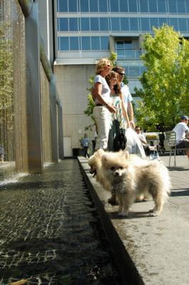 Aug1_04_518.JPG