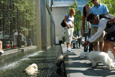 Aug1_04_557.JPG