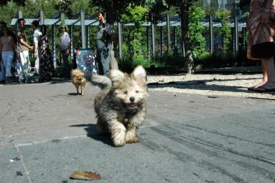 Aug1_04_633.JPG