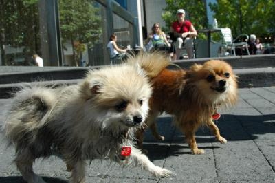 Aug1a_04_041.JPG