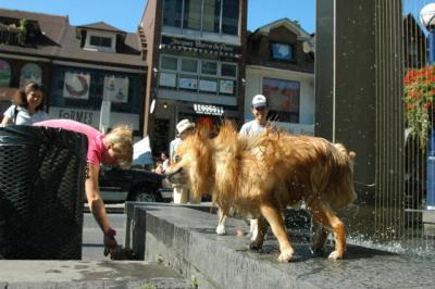 Aug1a_04_070.JPG