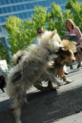 Aug1a_04_077.JPG