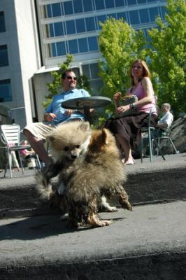 Aug1a_04_104.JPG