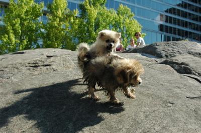 Aug1a_04_120.JPG