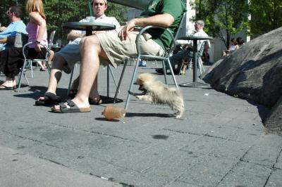 Aug1a_04_166.JPG