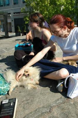 Aug1a_04_224.JPG