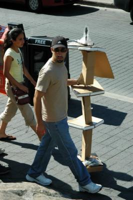 Aug1a_04_242.JPG