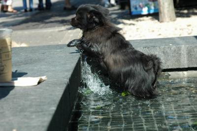 Aug1a_04_275.JPG