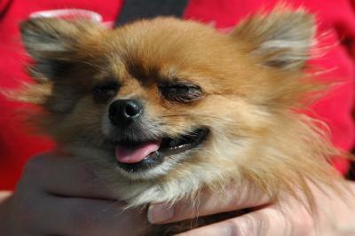 Aug1a_04_287.JPG