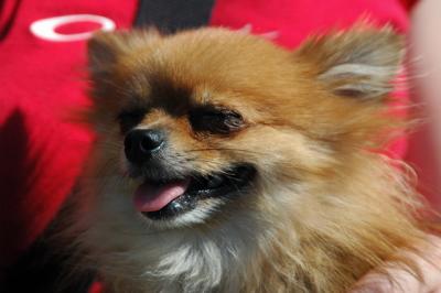 Aug1a_04_290.JPG