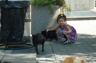 Aug1a_04_317.JPG