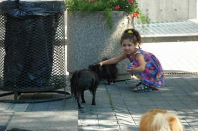 Aug1a_04_318.JPG