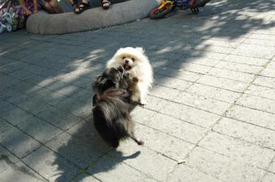 Aug1a_04_374.JPG