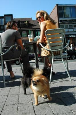 Aug1a_04_479.JPG