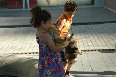 Aug1b_04_003.JPG