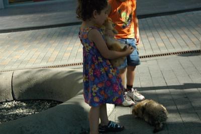 Aug1b_04_005.JPG