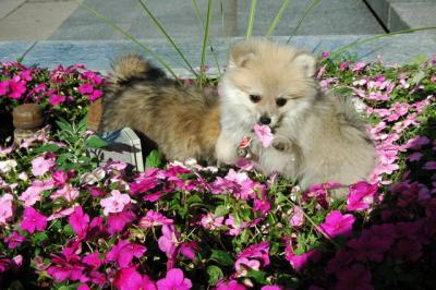 Aug1b_04_044.JPG