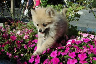 Aug1b_04_064.JPG