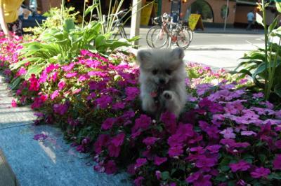 Aug1b_04_071.JPG
