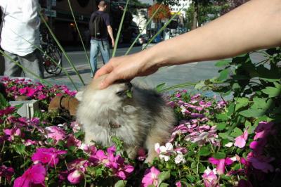 Aug1b_04_076.JPG