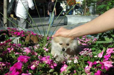 Aug1b_04_077.JPG