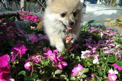 Aug1b_04_082.JPG