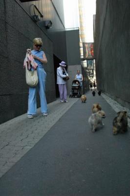 Aug1b_04_095.JPG