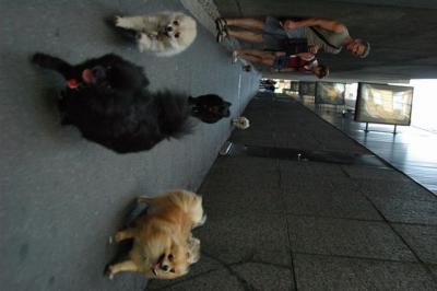 Aug1b_04_101.JPG
