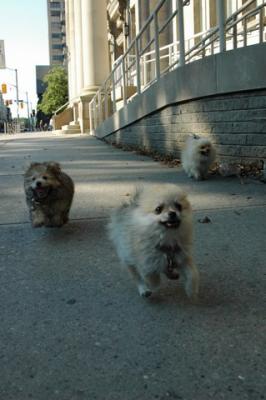 Aug1b_04_104.JPG