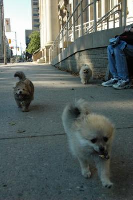 Aug1b_04_105.JPG