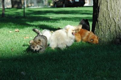 Aug1b_04_125.JPG